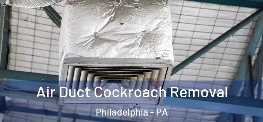  Air Duct Cockroach Removal Philadelphia - PA