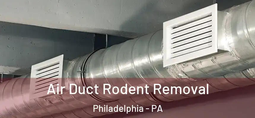  Air Duct Rodent Removal Philadelphia - PA
