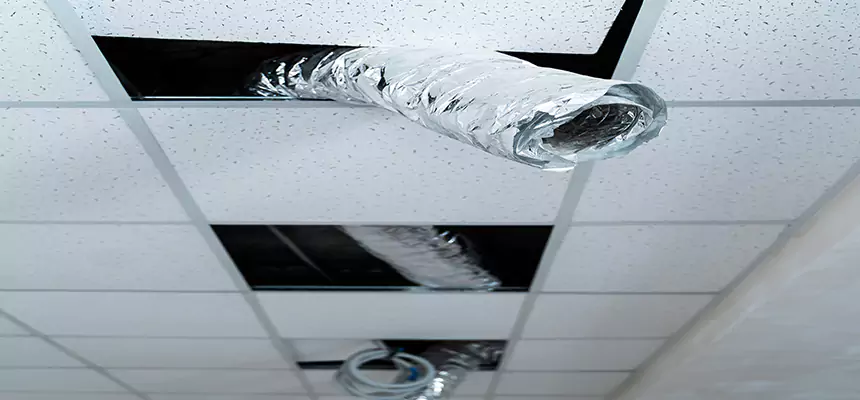 Affordable HVAC Sanitizing After Pest Removal in Philadelphia