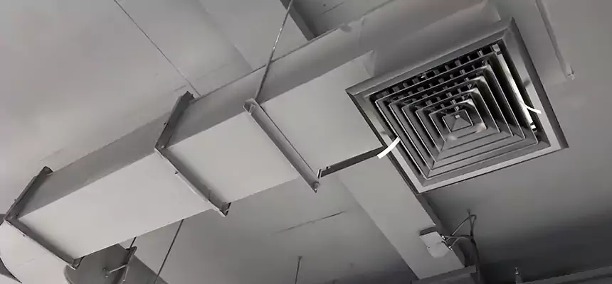 Restorative Allergy Relief Vent Cleaning – Coil, Blower & Housing Detail in Philadelphia