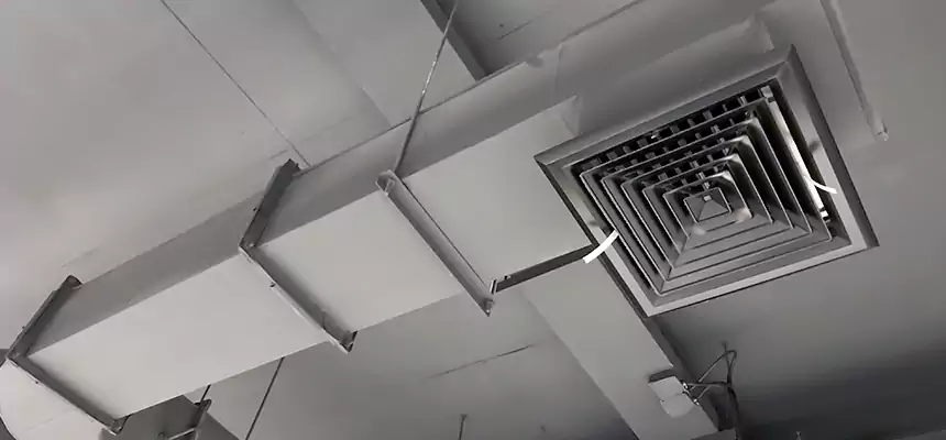 Our Pest Removal From Ducts Services in Philadelphia, PA