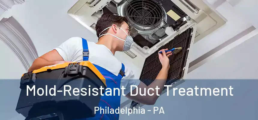  Mold-Resistant Duct Treatment Philadelphia - PA
