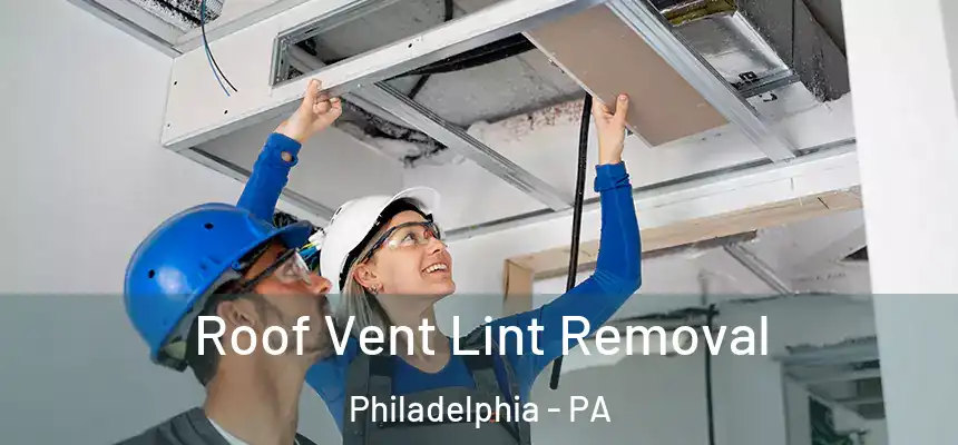  Roof Vent Lint Removal Philadelphia - PA