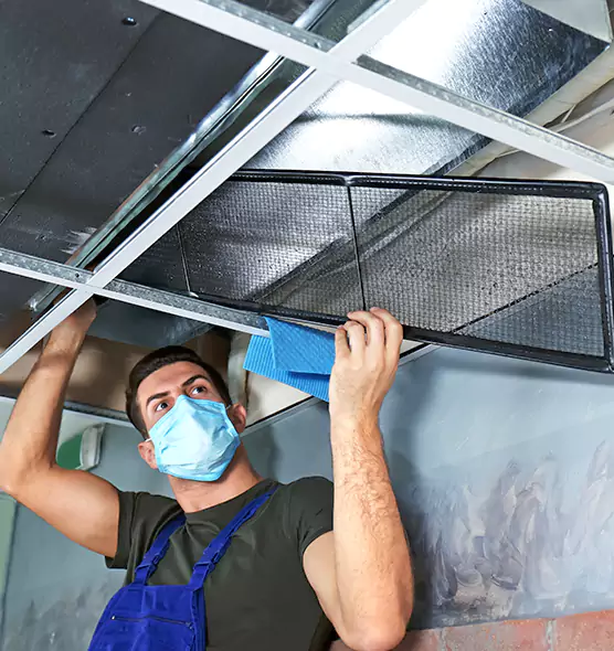 Professional Air Duct Pollen Cleaning in Philadelphia, PA