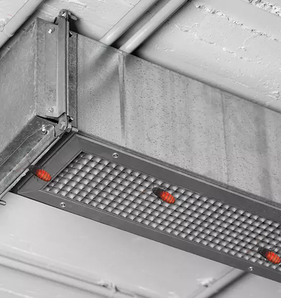 Affordable Insect Removal from Air Ducts in Philadelphia, PA