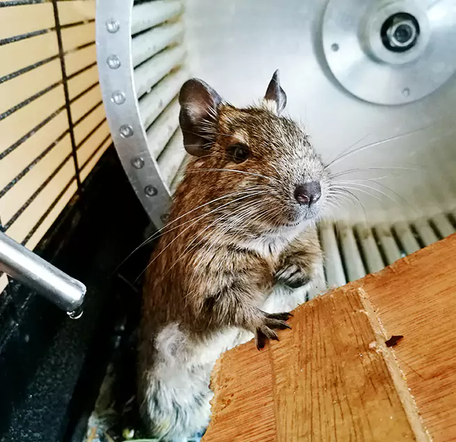 Why Homeowners & Businesses Trust Us Philadelphia, PA?