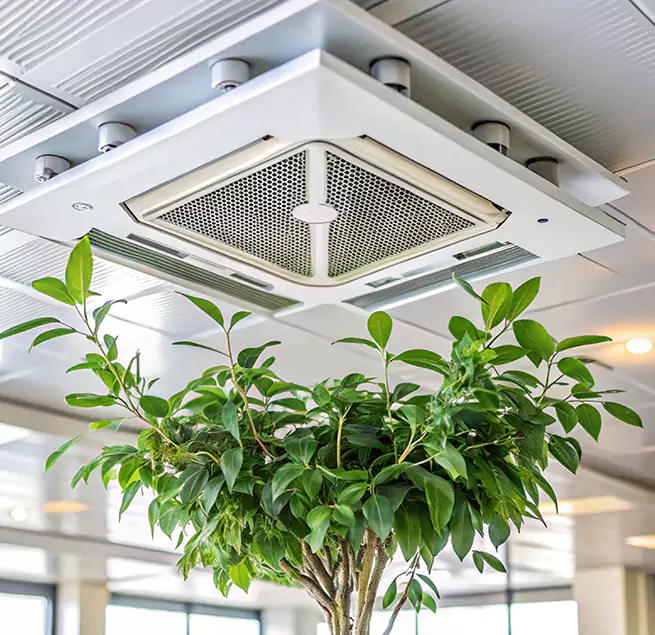 Why Homeowners & Businesses Trust Us in Philadelphia, PA